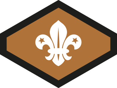 Original Chief Scout's Bronze Award